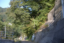 荒廃流域における危険箇所の判読例